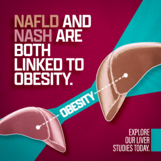 NAFLD and NASH are both linked to obesity