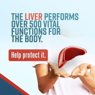 The liver performs over 500 vital functions